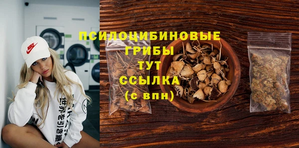 mdpv Лагань