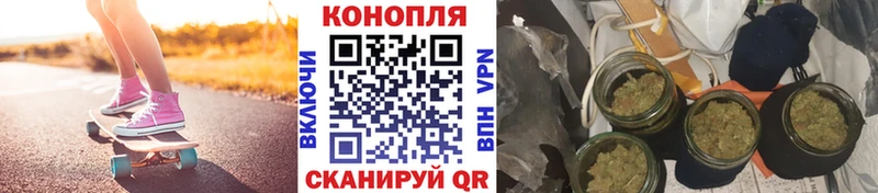 купить  цена  Онега  Бошки марихуана планчик 